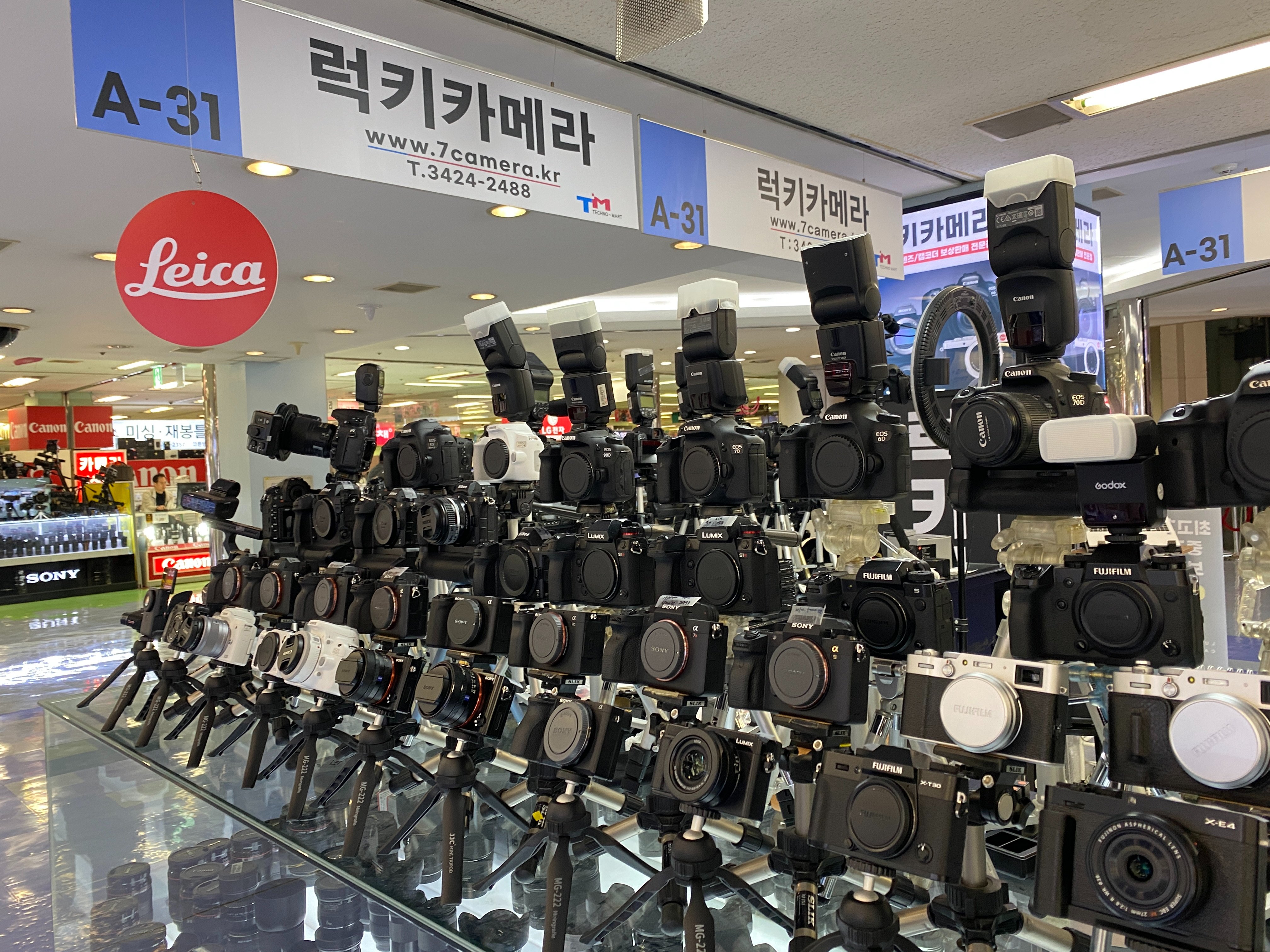 럭키카메라 후지필름